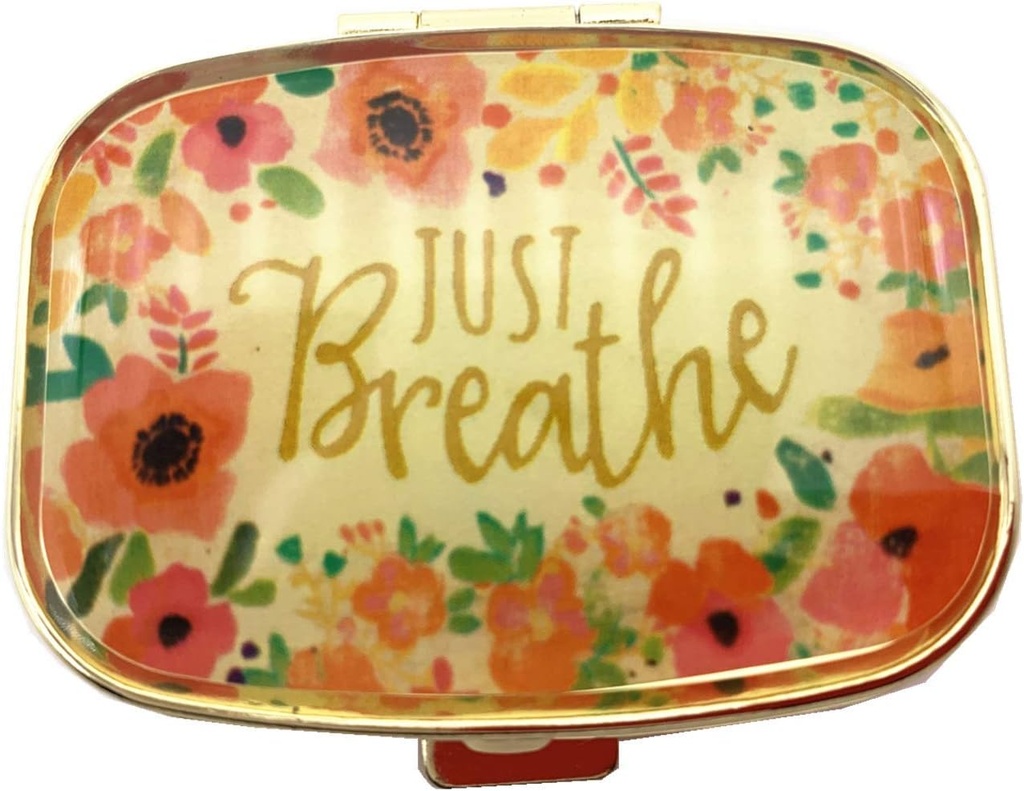 AmyZone Metal Pill Korraldaja Reisi Sõbralik kaasaskantav Compact Pill Box Pill Case hoida vitamiine / tilenool / kalaõli / toidulisandeid / Ravimid / Tablett rahakoti / tasku (just hingata)