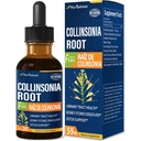 Collinsonia (Stone Juur) tilgad kuseteede tervisele, looduslikule taimsele valemile täiendus w / Stone Breaker Chanca Piedra ekstrakti toetus Neerukivid Lahustaja & Detox Cleanse. 2oz