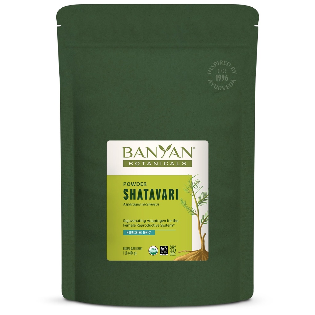 Banyan Botanicals Shatavari Pulber – Orgaaniline Asparagus Racemosus Juurepulber – Adaptogeeni noorendav toonik, mis toetab tervislikku reproduktiivsüsteemi * – 1 lb. – Mitte-GMO jätkusuutlikult hangitud vegan