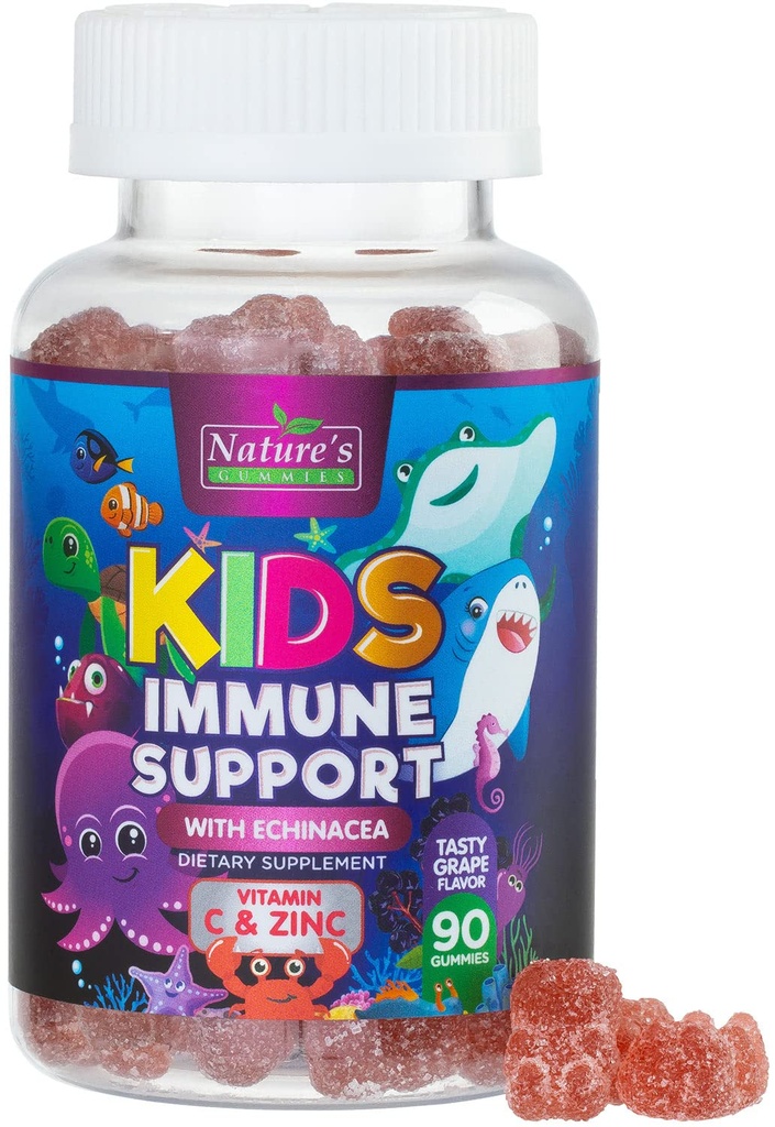 Lapsed Immune Support Supplement Gummies - igapäevased lapsed Vitamiinid C, Tsink ja Echinacea - Kummi lastele Immunity Support, vanuses 4 ja üles, Natural Berry Maitse, Non-GMO, Gluteenivaba & Vegan - 90 Gummies