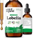 Looduslik ja orgaaniline Lobelia tinktuur - Taimne kopsupuhastus ja Detox - Vedel Lobelia ekstrakti lisand - Vegan, suhkur ja alkoholivabad maitsetaimetilgad - 2 fl oz