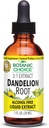 Botaanikavalik Dandelion Juur, Alkoholivaba Vedelik Ekstrakt-Traditsiooniline Maksa Tervise Tugi, Puhasta toksiine, Aid Digestion-1 Fluid Ounce