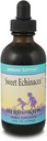 Maitsetaimed lastele Sweet Echinacea (4oz)