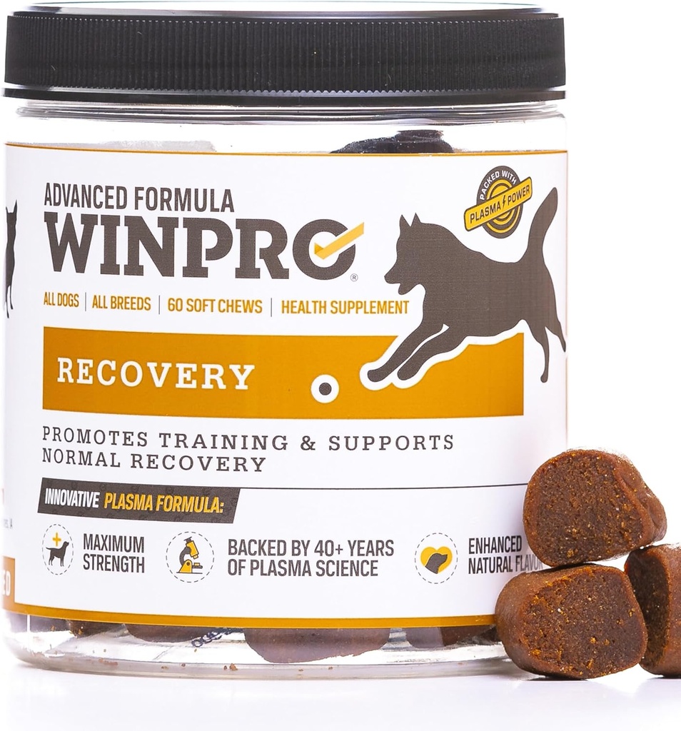 WINPRO taastamise närimiskoogid koertele, aktiivsetele koertele mõeldud plasma, immuunsüsteemi tugi ja koerte koolitamise toetus konkurentsile ja spordile Lihaste taastumine ja agility, 60 Count, valmistatud USA-s