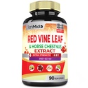 Red Vine Leaf Extract kapslid - hobukastan, peedi juur, ingver - taimsete täiendada südame, jalavein & energia - 90 Vegan kapslid 45 päeva