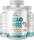 Orgaaniline Iiri meri Moss pillid - Wildcrafted Dr Sebi Inspired Seamoss Blend kurkumi, Burdock Root & Bladderwrack, täiustatud Black Pepper - 60 kapslit