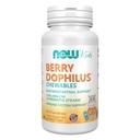 NOW Foods Supplements, BerryDophilus TM koos 2 miljardi, 10 probiootilise tüvega, ksülitool magustatud, tüvi kinnitatud, 60 närimiskõlblikku, pakend võib erineda