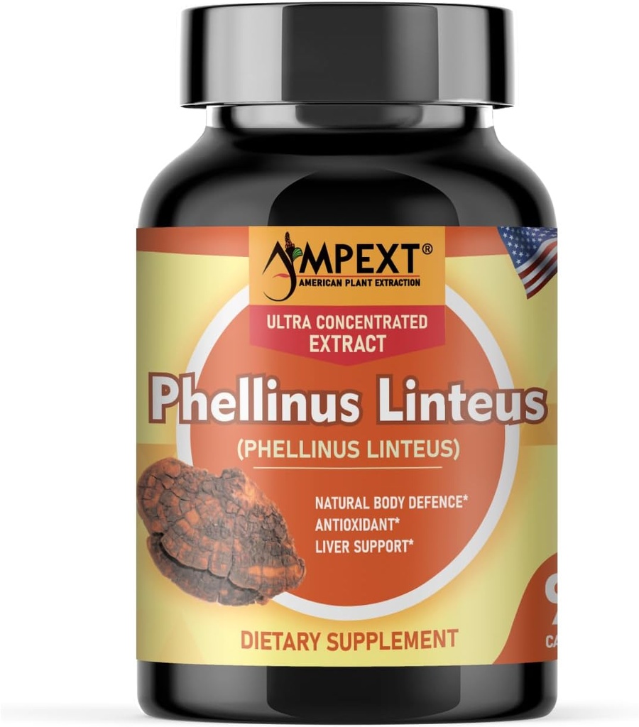 Phellinus linteus Seeneekstrakt - Premium kvaliteet, Ainult viljakehad, Antioksüdant, Immunity Booster, Maksatoetus, 90 Veg Caps.