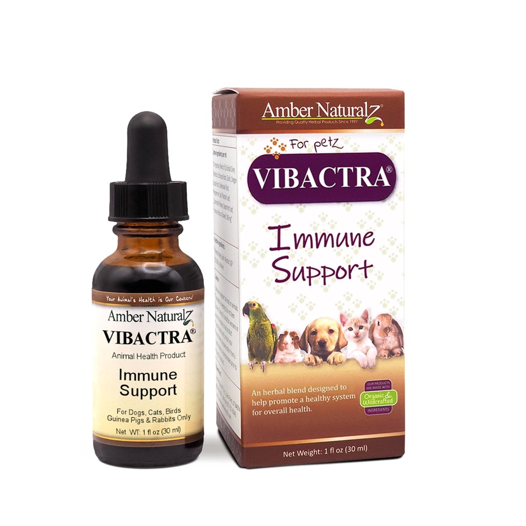 Amber NaturalZ Vibactra Immune Support Taimne lisand koertele, kassidele, lindudele, merisigadele ja küülikutele | Lemmiklooma taimne segu üldiseks terviseks | 1 vedel klaaspudel | toodetud USAs