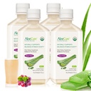 AloeCure USDA orgaaniline Aloe Vera mahl Viinamarjamaitse, mis on valmistatud 12 tunni jooksul saagikoristusest - puhas Aloe Vera seedetrakti ja immuunsüsteemi tervise lisand, aitab säilitada tasakaalustatud kõhuhappesust, 16,7oz x 4 Btl
