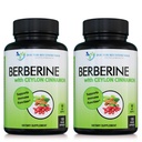 Berberiin koos Ceylon Cinnamon - 1200mg Berberine & 100mg Orgaaniline Tseiloni kaneel - 120 Veggie kapslid, Tervislik Immuunsüsteem Kardiovaskulaarne süda & Gastrointestinal Wellness (pakk 2)