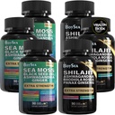Boysea. Shilajit and Sea Moss Bundle- 90 Count - Sea Moss, Black Seed Oil, Ashwagandha, Ginger & Shilajit, Rhodiola Rosea, Kõik 1 täiendused (3 Pc)
