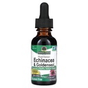 Nature's Answer Enchinacea & Goldenseal | Toetab tervislikku immuunsüsteemi | Super kontsentreeritud puhas ekstrakt | Alkoholivaba, gluteenivaba, vegan & Kosher sertifitseeritud 1oz