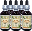Mustsõstra (Ribes nigrum) tinktuur, kuivatatud lehed Vedelikekstrakt (Brändinimetus: HerbalTerra, Proudly Made in USA) 5x2 fl.oz (5x60 ml)