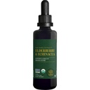 Global Healing USDA Organic Elderberry & Echinacea Vedelikulisandi tinktuur | Antioksüdant immuuntoetus kahjulike organismide vastu täiskasvanutele ja lastele, vegan, mitte-GMO, 1 kuu pakkumine (2 Oz)