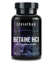 Leviathan Betaine HCl koos Pepsin & Ingveriga - seedeensüümide lisand seedetrakti abi ja toetuse, maohappe ja toitainete imendumise jaoks