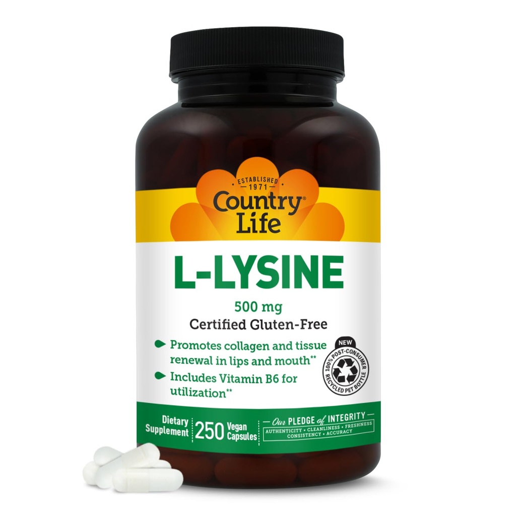 L-Lysine 500mg koos B-6-ga, toetab immuunsüsteemi tervist, soodustab kollageeni uuendamist huultes ja suus, 250 vegankapslit, sertifitseeritud gluteenivaba, sertifitseeritud vegan