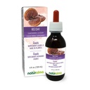 Naturalma Reishi (Ganoderma lucidum) Seen või seen Alkoholivaba tinktuur - 4 fl oz Vedel ekstrakt tilkadena - Taimne täiendus - Vegan