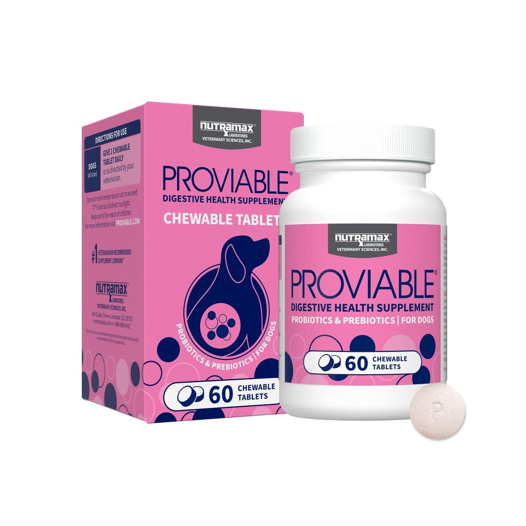 Nutramax Tõenäolised probiootikumid koertele, igapäevane seedetrakti tervise täiendus mitme bakteri tüvega, koerte probiootikumid pluss prebiootikumid, 60 närimistabletti