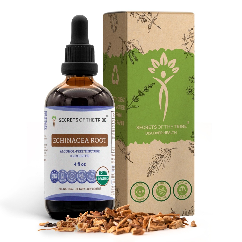 Echinacea Root USDA orgaaniline tinktuur | Alkoholivaba ekstrakt, suure tugevusega taimetilgad, immuunsüsteemi tervis | Valmistatud 100% sertifitseeritud orgaanilisest Echinacea juurest (Echinacea Purpurea) 4 oz