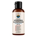 AMANDEANi liposomaalne glutatiooni lisand. Vedel vähendatud Setria 500mg. Immuunsüsteemi tugi, aju tervis, maksa detox, naha tervis. Fosfatidüülkoliin mitte-GMO päevalille letsitiin. Sojavaba ja vegan.