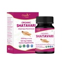 Shatavari 120 tabletti | Asparagus Racemosus (Shatavari) | USDA orgaaniline sertifitseeritud | Toetab naiste tervist ja immuunsüsteemi | Toidulisand 120tab