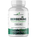 Puhas Berberine Supplement - 1300mg Berberine koos Ceylon Cinnamon Metabolism & Immune System Support - 60 Servings