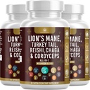Seenelisa koos Lõvi Mane Türgi saba Reishi Cordyceps Chaga vahukommi juur - 180 krahv