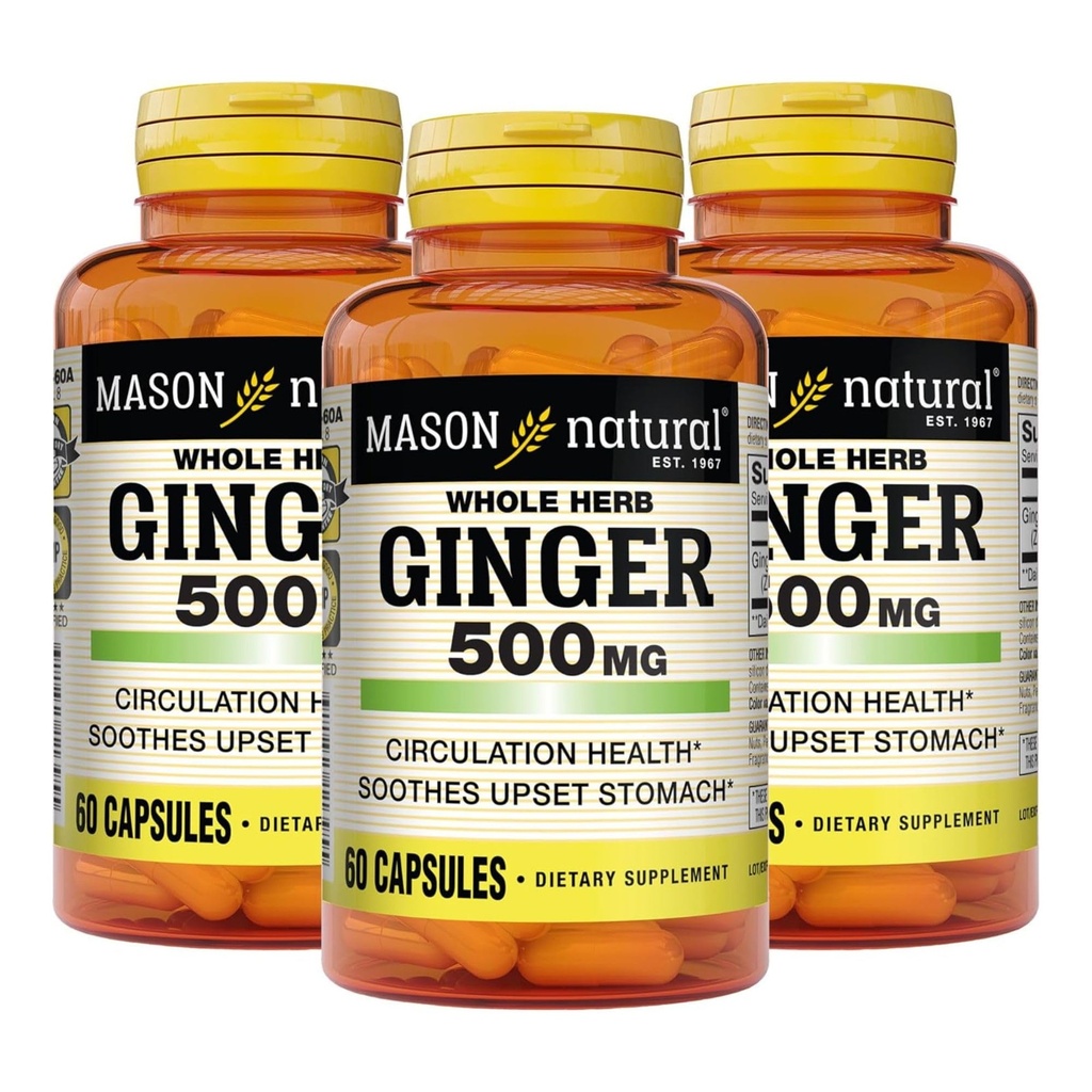MASON NATURAL Terve ürdi ingver 500 mg, 6 kuu pakkumine, looduslik taimsete täiendada, 60 kapslit (3 pakendit)