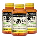 MASON NATURAL Terve ürdi ingver 500 mg, 6 kuu pakkumine, looduslik taimsete täiendada, 60 kapslit (3 pakendit)