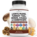 Lions Mane Seenelisa Türgi saba Reishi Cordyceps Chaga koos vahukommi juurega - 1-pakk