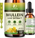 (2 Pack) 98% Imendumine Mullein tilgad kopsud, Võimas 5 in 1 Mullein Leaf Taimne segu ekstrakt, Natural Lungs Support Supplement for Lungs Cleanse & Detox ja hingamisteede kopsude tervis