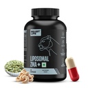 BeastLife Liposomal ZMA | Zinc Magnesium Aspartate Capsules | Ultra Absorption | Muscle Repair, Sleep Quality, Stress & Mood Balance | Metabolic & Immune Support | 30 Capsules