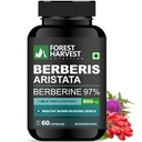Berberis Aristata (Berberine 97%) with Milk Thistle | 800mg per Serving | 60 Veg Capsules | WHO-GMP, ISO, HACCP Certified
