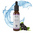 Maetud aare Lymphatic Harmony Drops - 2oz, 30 Servings, Lymphatic Supplement koos Cleavers, Burdock, Echinacea ja Astragalus