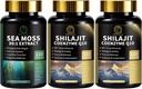 Sea Moss ja Shilajit kapslid meestele ja naistele, kõik 1 täiendused koos Shilajit, Sea Moss, koensüüm Q10, Black Seed, Ashwagandha, Burdock energia, antioksüdant ja immuuntoetus