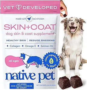 Native Lemmiklooma Omega Naha ja Coat Chews koertele - Koer Naha ja Coat Supplement terve, läikiv karusnahk, Vähendada Shedding ja kuiv laigud - Valmistatud Omega 3 kalaõli ja looduslikult püütud lõheõli - 60 närimist