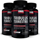 FORCE FACTOR Tribulus terrestris meestele, 3-Pack, Tribulus Testosteroon Booster meestele, Mees Vitality Supplement, Tribulus ekstrakt ja looduslikud koostisosad Superior imendumist, 1000mg, 180 kapslit