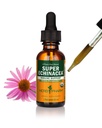 Herb Pharm Certified Organic Super Echinacea Vedel Ekstrakt Aktiivse immuunsüsteemi toetuseks - 1 Ounce (DSUPER01)