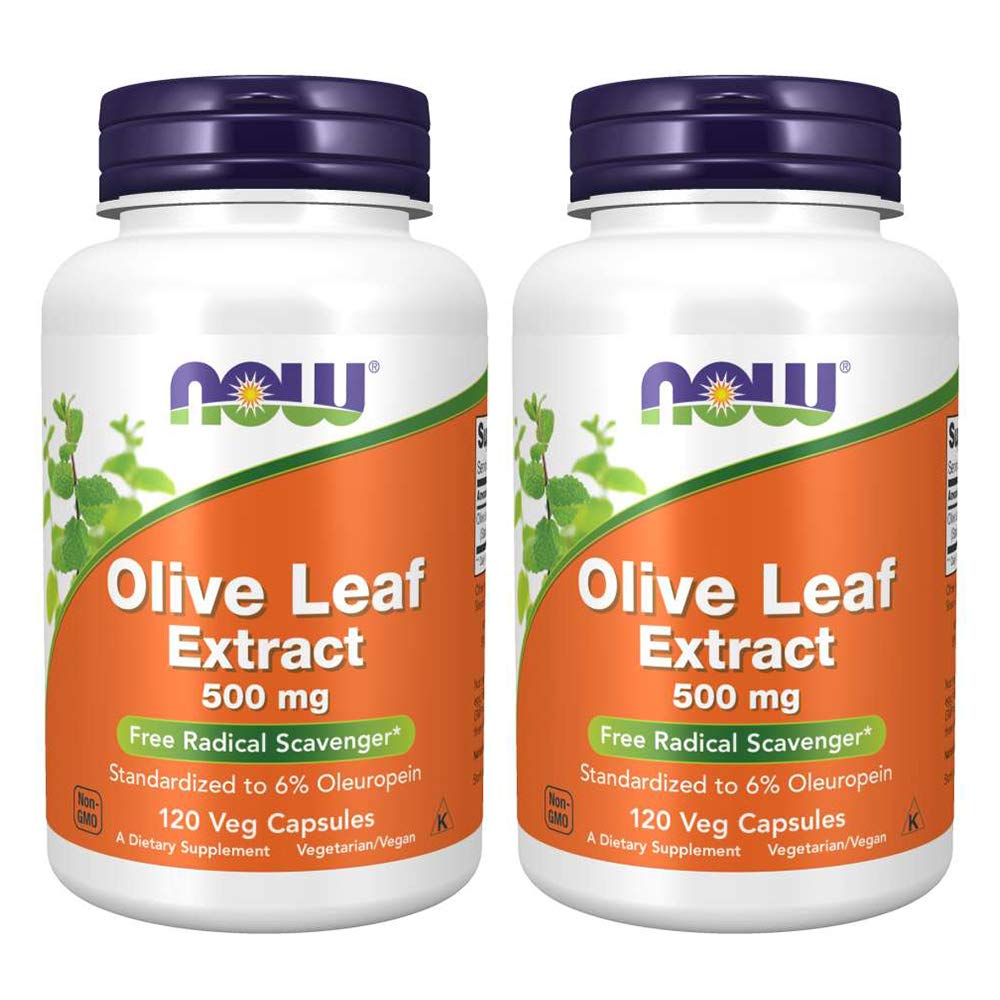 Nüüd toidud Olive Leaf Extract 500mg standardiseeritud 6% oleuropein, 120 Vcaps (2 Pack)