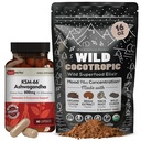 DailyNutra KSM 66 Ashwagandha (90 kapslit) ja seene Cacao Mix (16oz)