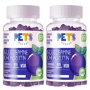 Lemmikloomad Puhtad Glükosamiini Kondroitiin Gummies koos MSM & Elderberry Extra Tugevusega - ühine tugi, antioksüdantide immuuntoetus täiskasvanutele, meestele ja naistele.(2 Pack) Mustikas
