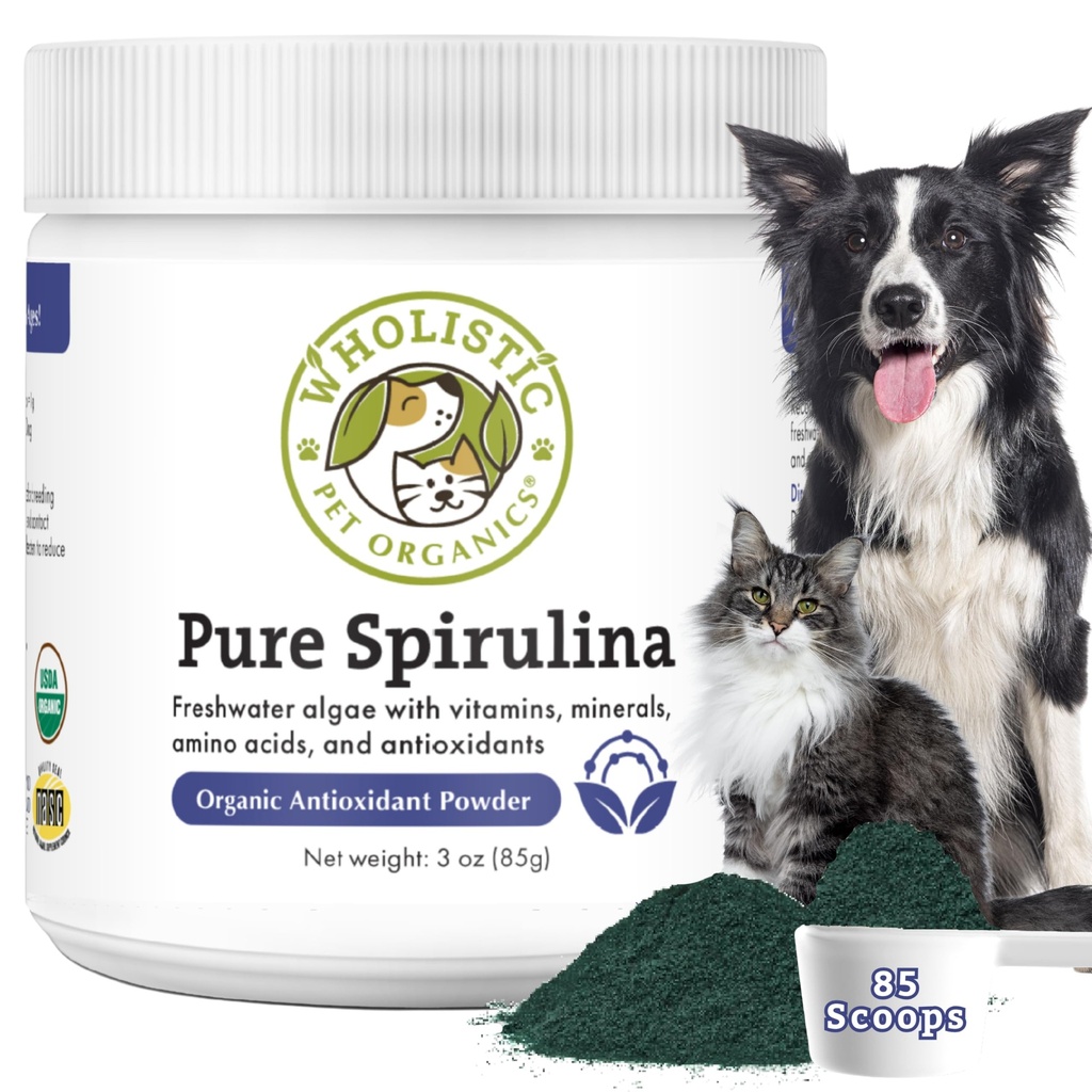 Wholistic Pet Organics Spirulina koertele - 3 Oz - toetab tervislikku immuunsüsteemi ja hooajalist allergiat - taimepõhine antioksüdantide toetus kodus valmistatud toidule - mahepõllumajanduslik koeratoit - värskelt valmistatud USA-s