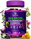 Iiri meri Moss Gummies - Bladderwrack Burdock Root Elderberry Vitamiin C & Zinc - 60 Vegan Seamoss Gummy Bears täiskasvanutele Lapsed Mehed Naised - Multimineral Elderberry Vitamiinid
