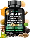 Adndale Shilajit meestele ja naistele. Pure Himalayan Organic Shilajit kapslid Sea Moss Ashwagandha Rhodiola Rosea Lõvi Mane. 90 Count