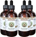 Echinacea Alcohol-Free Vedel Extract, Echinacea (Echinacea Angustifolia) Kuivatatud Juur Glycerite Hawaii Pharm Looduslik Taimne Täiendus 4x4 oz