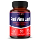 Red Vine Leaf Supplement koos hobuste kastan, peet, ingver - looduslik toetus veen tugevus ja tsirkulatsiooni heaolu - valmistatud USAs (90 Count (1. pakk))