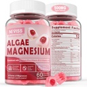 Suhkruvaba Kaltsium Magneesium Tsink Gummies, Vetikad Kaltsium Magneesium Supplement Plus D3 | 4 vormid Magneesium - Glütsinaat, tsitraat, malaat, vetikad - toetada luude tervist, lihaste funktsiooni ja närvi, 60 Ct
