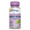 SOLARAY Ginkgo Biloba ekstrakt Gotu Kola - Ginko Biloba kapslid aju tervise toetamiseks - Vegan, Lab kontrollitud, 60-päevane garantii - 60 serveerimist, 60 VegCaps (60 VegCaps)
