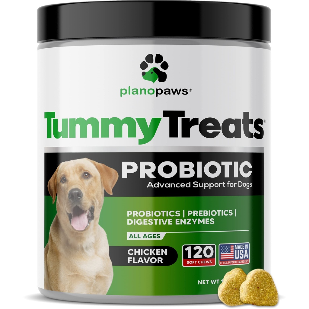 Probiootikumid koertele Seedetrakti Tervis - Koerte probiootikumid ja seedeensüümid - Allergia leevendamine koertele - Probiootikum koertele Soolestiku Tervis - Kutsikas Probiootiline Tummy Ravib - 120 Koer Probiootiline Näri
